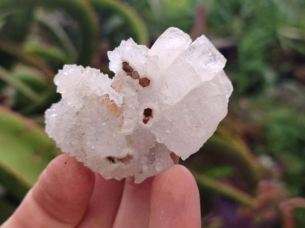 Natural Small Drusy Snow Finger Crystal Clusters x 35 From Albert's Mountain, Lesotho - Toprock Gemstones and Minerals 