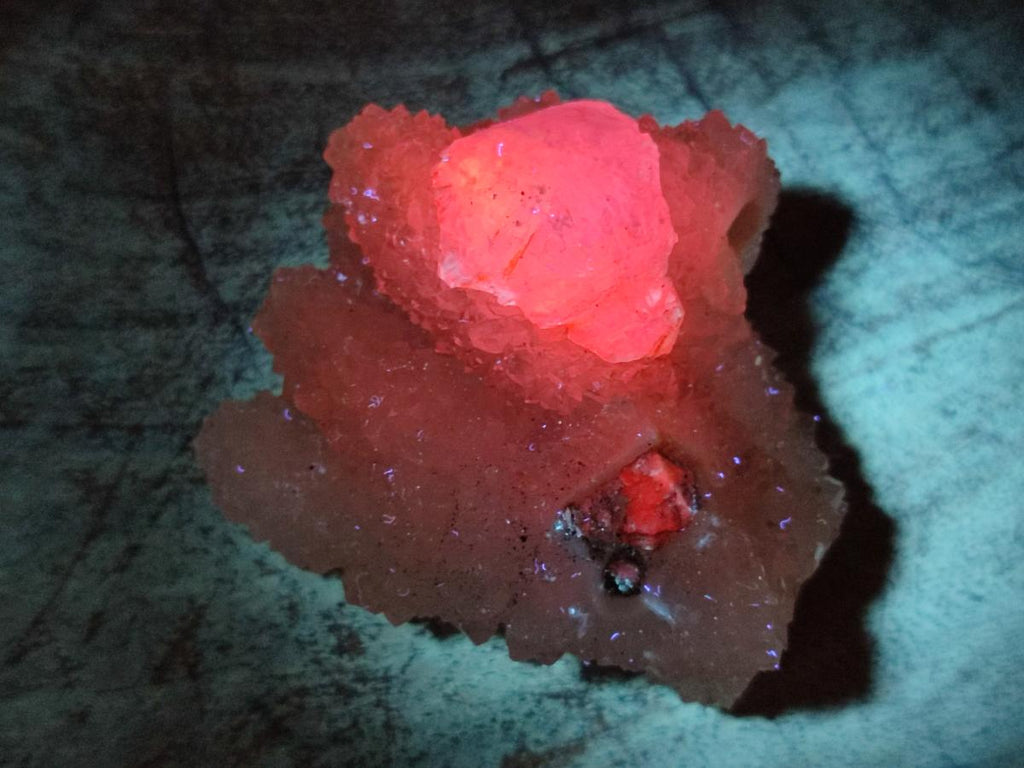 Natural Small Drusy Snow Finger Crystal Clusters x 35 From Albert's Mountain, Lesotho - Toprock Gemstones and Minerals 