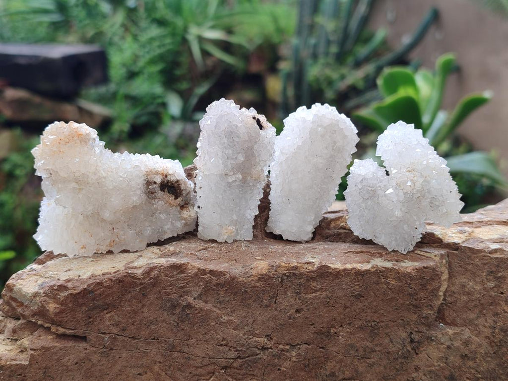 Natural Small Drusy Snow Finger Crystal Clusters x 35 From Albert's Mountain, Lesotho - Toprock Gemstones and Minerals 
