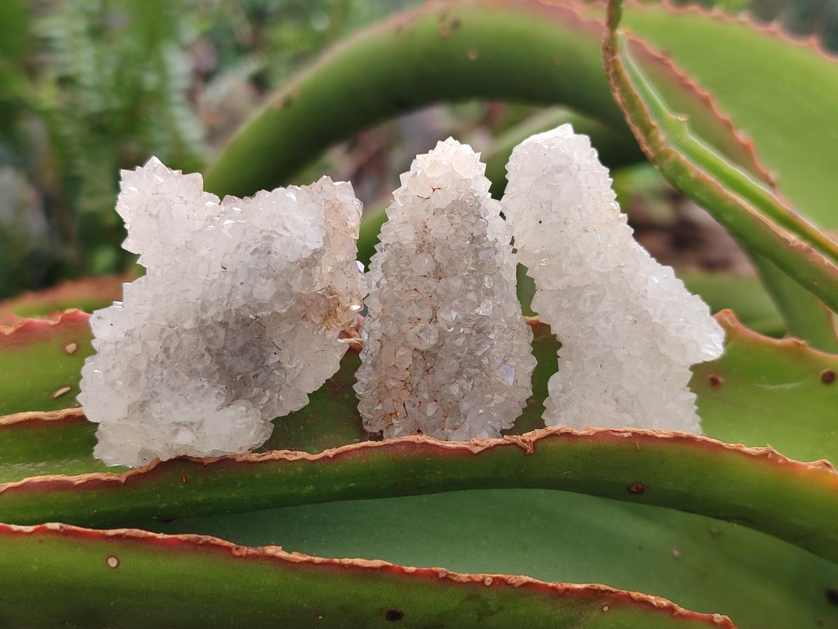 Natural Small Drusy Snow Finger Crystal Clusters x 35 From Albert's Mountain, Lesotho - Toprock Gemstones and Minerals 