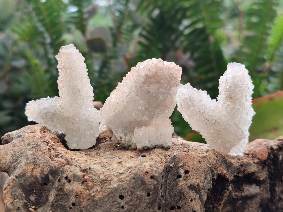 Natural Small Drusy Snow Finger Crystal Clusters x 35 From Albert's Mountain, Lesotho - Toprock Gemstones and Minerals 