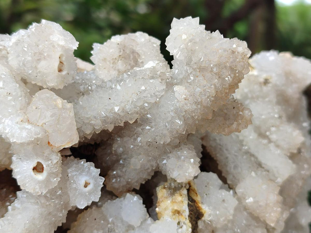 Natural Large Drusy Snow Finger Cluster x 1 From Albert's Mountain, Lesotho - Toprock Gemstones and Minerals 