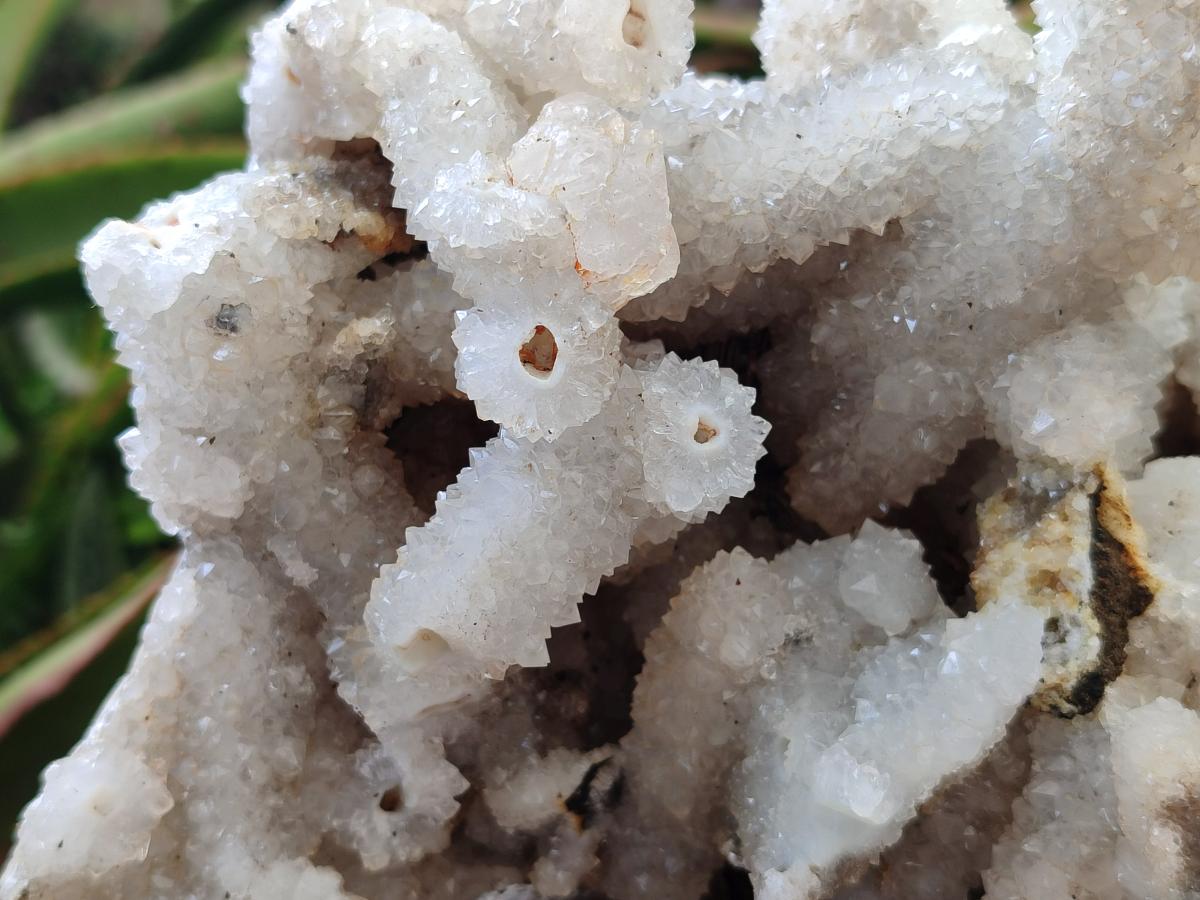 Natural Large Drusy Snow Finger Cluster x 1 From Albert's Mountain, Lesotho - Toprock Gemstones and Minerals 