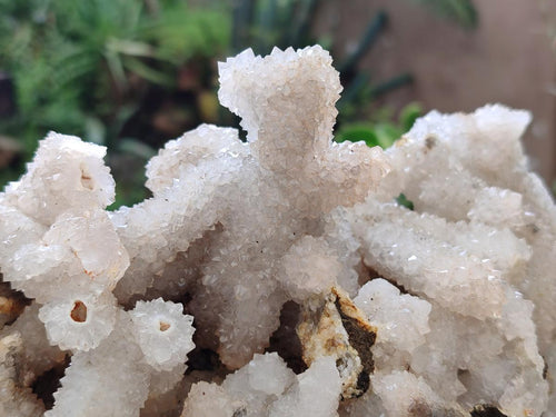 Natural Large Drusy Snow Finger Cluster x 1 From Albert's Mountain, Lesotho - Toprock Gemstones and Minerals 
