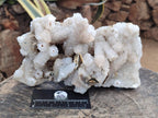Natural Large Drusy Snow Finger Cluster x 1 From Albert's Mountain, Lesotho - Toprock Gemstones and Minerals 