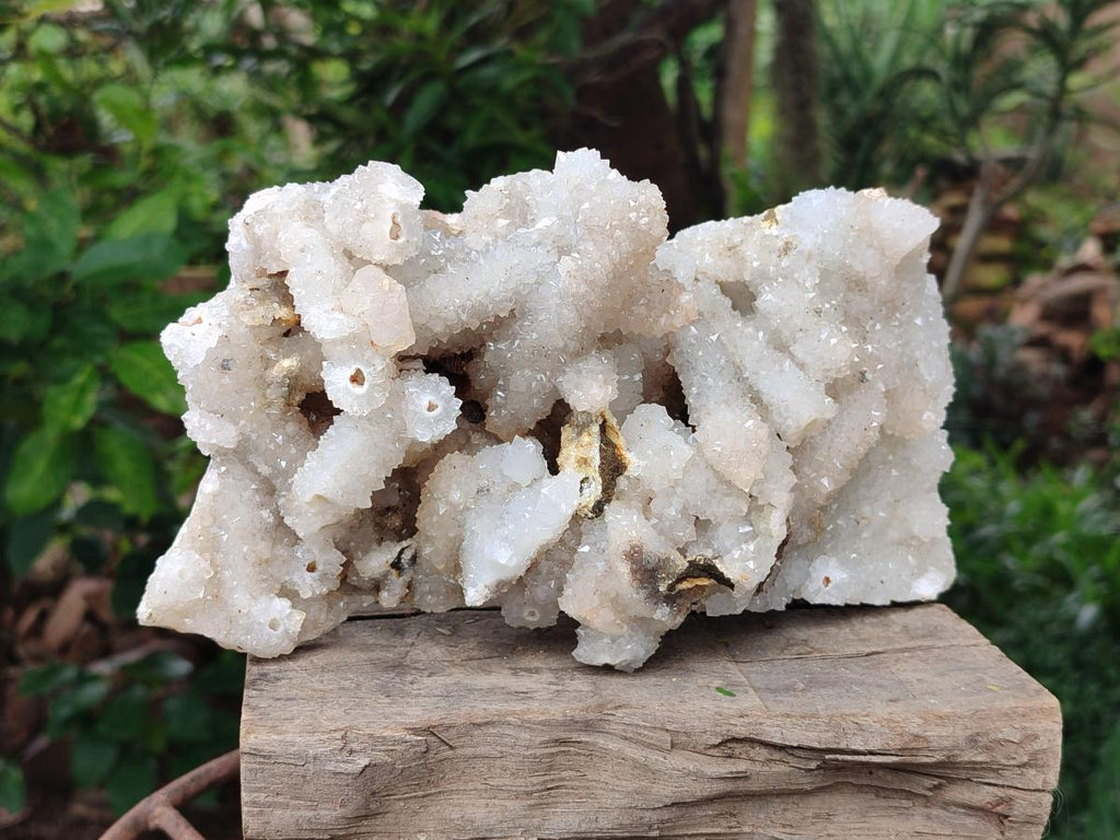 Natural Large Drusy Snow Finger Cluster x 1 From Albert's Mountain, Lesotho - Toprock Gemstones and Minerals 