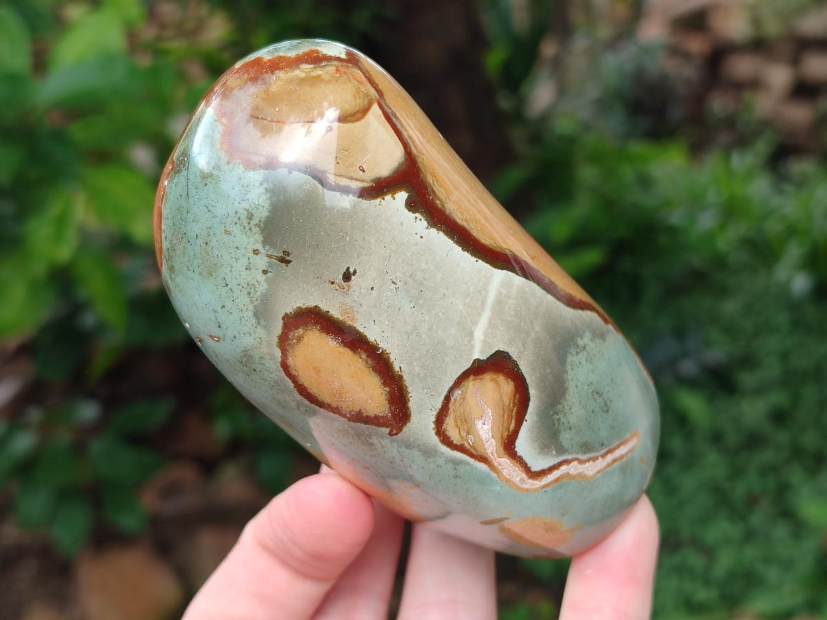 Polished Polychrome Jasper Standing Free Forms x 5 From NW Coast, Madagascar - Toprock Gemstones and Minerals 