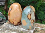 Polished Polychrome Jasper Standing Free Forms x 5 From NW Coast, Madagascar - Toprock Gemstones and Minerals 