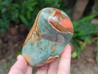 Polished Polychrome Jasper Standing Free Forms x 5 From NW Coast, Madagascar - Toprock Gemstones and Minerals 