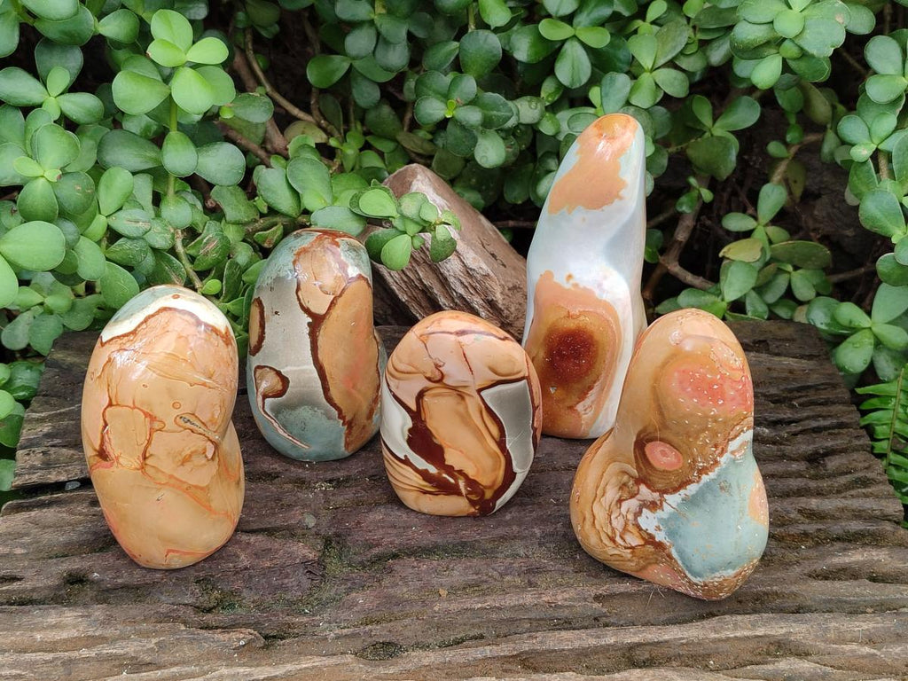 Polished Polychrome Jasper Standing Free Forms x 5 From NW Coast, Madagascar - Toprock Gemstones and Minerals 