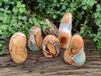 Polished Polychrome Jasper Standing Free Forms x 5 From NW Coast, Madagascar - Toprock Gemstones and Minerals 