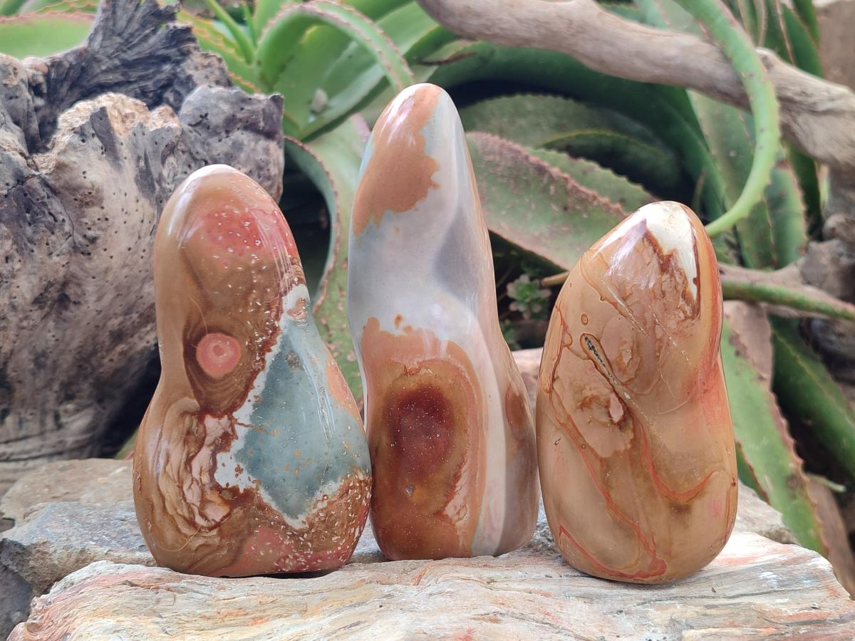 Polished Polychrome Jasper Standing Free Forms x 5 From NW Coast, Madagascar - Toprock Gemstones and Minerals 