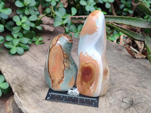 Polished Polychrome Jasper Standing Free Forms x 5 From NW Coast, Madagascar - Toprock Gemstones and Minerals 