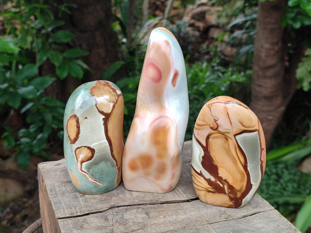 Polished Polychrome Jasper Standing Free Forms x 5 From NW Coast, Madagascar - Toprock Gemstones and Minerals 
