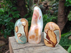 Polished Polychrome Jasper Standing Free Forms x 5 From NW Coast, Madagascar - Toprock Gemstones and Minerals 