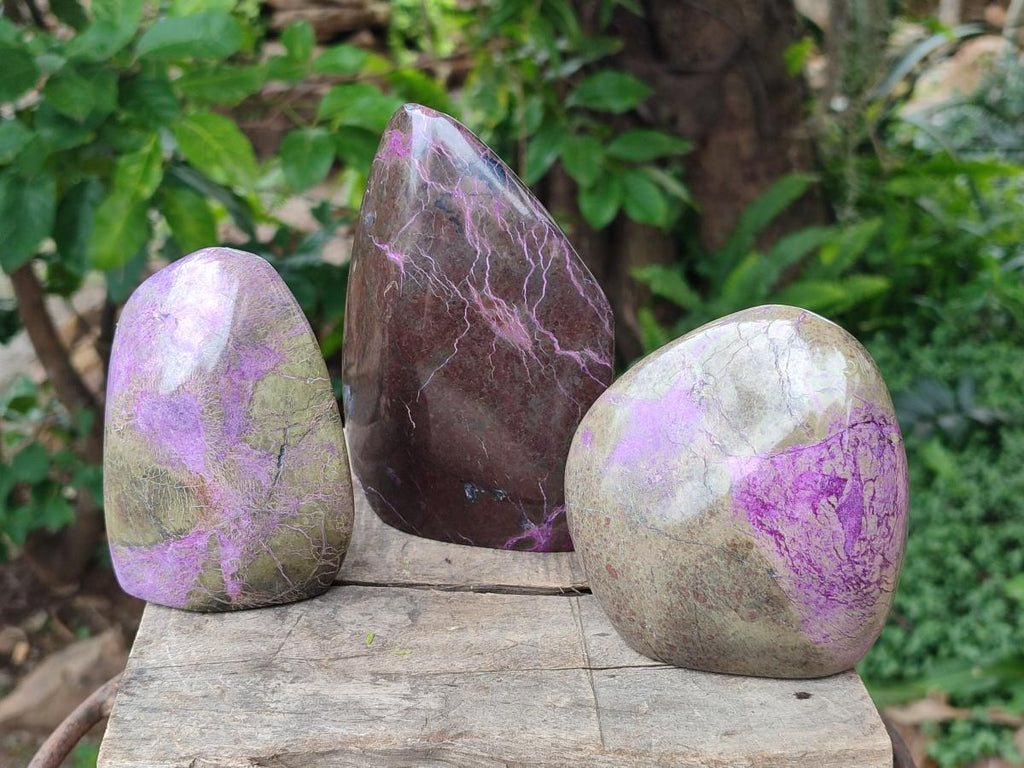 Polished Stichtite Standing Free Forms x 3 From Barberton, South Africa - Toprock Gemstones and Minerals 