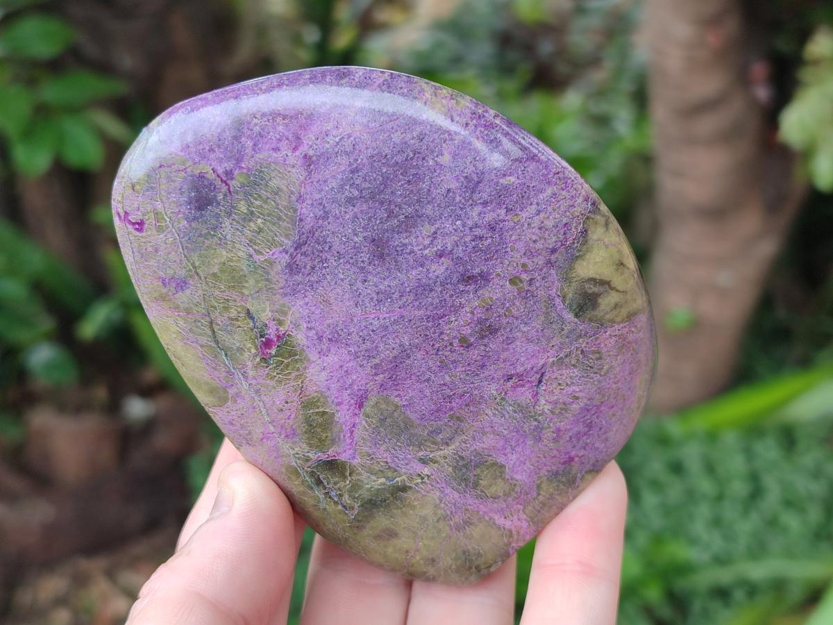 Polished Stichtite Standing Free Forms x 3 From Barberton, South Africa - Toprock Gemstones and Minerals 
