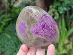 Polished Stichtite Standing Free Forms x 3 From Barberton, South Africa - Toprock Gemstones and Minerals 