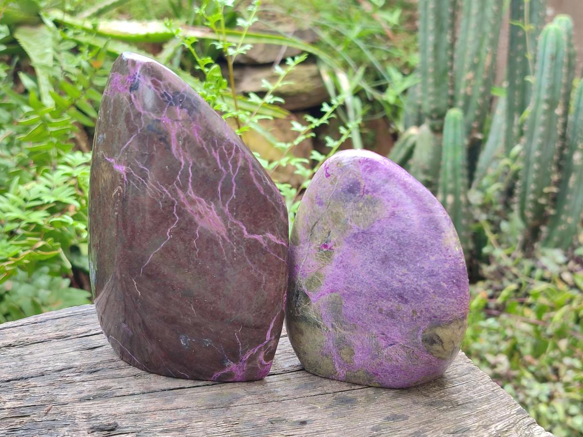 Polished Stichtite Standing Free Forms x 3 From Barberton, South Africa - Toprock Gemstones and Minerals 
