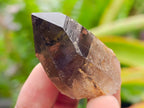 Natural Smokey Quartz Crystals x 35 From Mulanje, Malawi - Toprock Gemstones and Minerals 