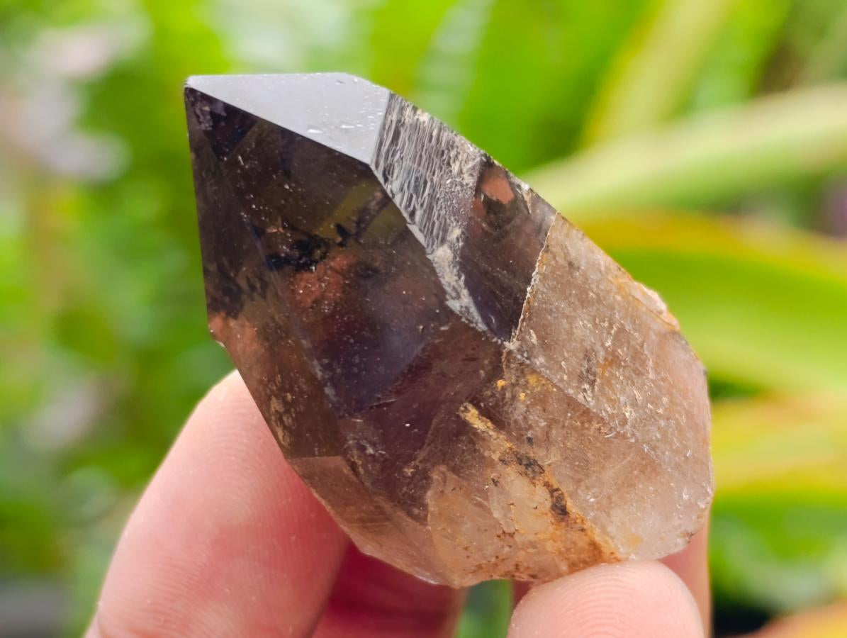 Natural Smokey Quartz Crystals x 35 From Mulanje, Malawi - Toprock Gemstones and Minerals 
