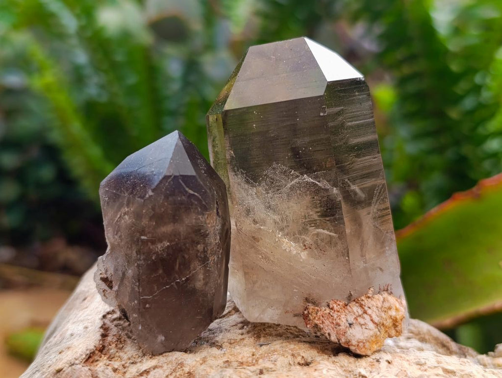 Natural Smokey Quartz Crystals x 35 From Mulanje, Malawi - Toprock Gemstones and Minerals 