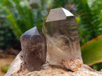 Natural Smokey Quartz Crystals x 35 From Mulanje, Malawi - Toprock Gemstones and Minerals 