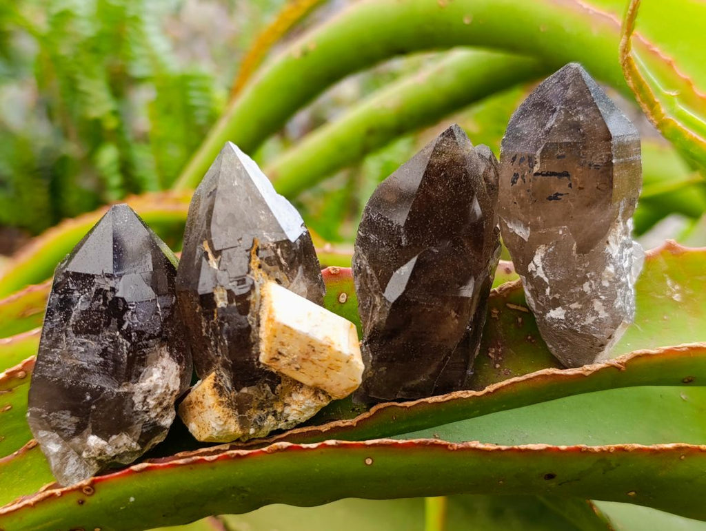 Natural Smokey Quartz Crystals x 35 From Mulanje, Malawi - Toprock Gemstones and Minerals 