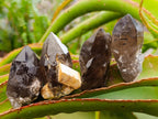 Natural Smokey Quartz Crystals x 35 From Mulanje, Malawi - Toprock Gemstones and Minerals 