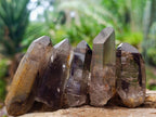 Natural Smokey Quartz Crystals x 35 From Mulanje, Malawi - Toprock Gemstones and Minerals 