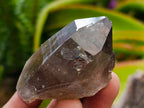 Natural Smokey Quartz Crystals x 35 From Mulanje, Malawi - Toprock Gemstones and Minerals 