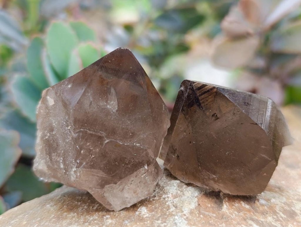 Natural Smokey Quartz Crystals x 35 From Mulanje, Malawi - Toprock Gemstones and Minerals 