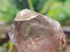 Natural Smokey Quartz Crystals x 35 From Mulanje, Malawi - Toprock Gemstones and Minerals 