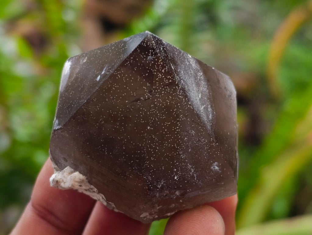 Natural Smokey Quartz Crystals x 35 From Mulanje, Malawi - Toprock Gemstones and Minerals 