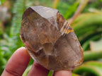 Natural Smokey Quartz Crystals x 35 From Mulanje, Malawi - Toprock Gemstones and Minerals 