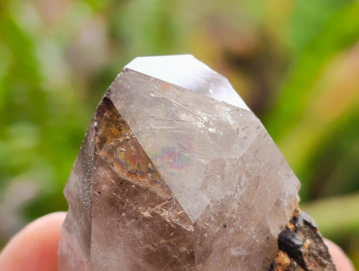 Natural Smokey Quartz Crystals x 35 From Mulanje, Malawi - Toprock Gemstones and Minerals 