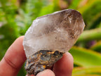 Natural Smokey Quartz Crystals x 35 From Mulanje, Malawi - Toprock Gemstones and Minerals 