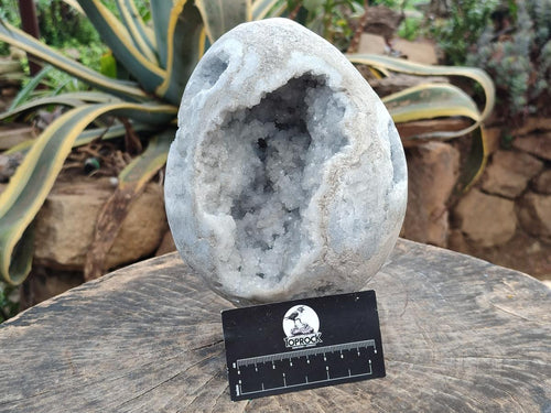 Polished Large Blue Celestite Egg x 1 From Sakoany, Madagascar - Toprock Gemstones and Minerals 