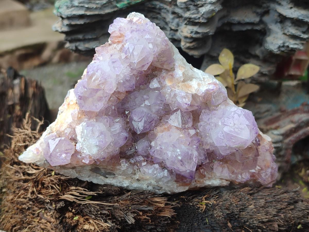 Natural Sunburst Amethyst Spirit Clusters x 2 From Boekenhouthoek, South Africa - Toprock Gemstones and Minerals 