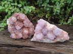 Natural Sunburst Amethyst Spirit Clusters x 2 From Boekenhouthoek, South Africa - Toprock Gemstones and Minerals 