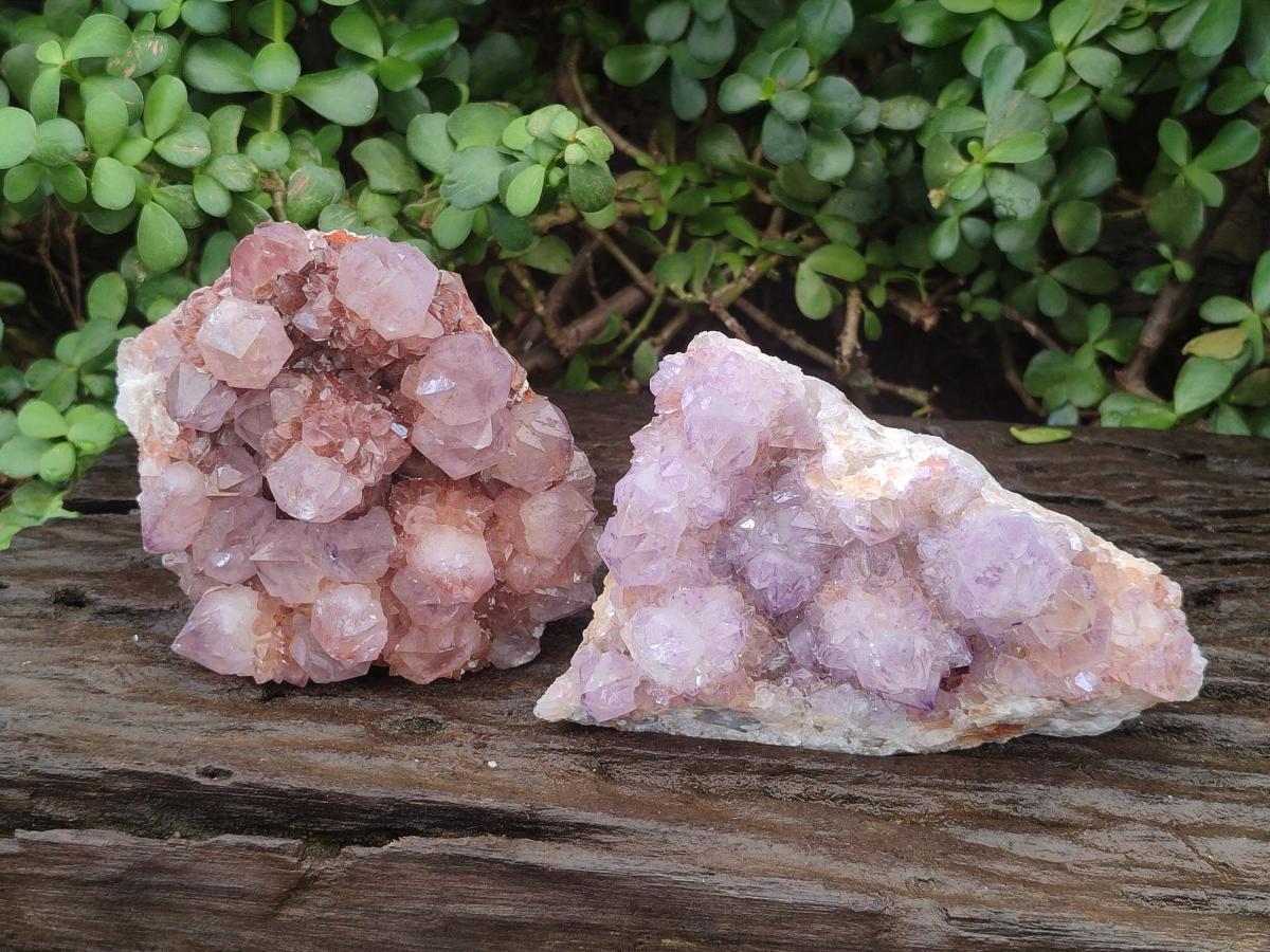 Natural Sunburst Amethyst Spirit Clusters x 2 From Boekenhouthoek, South Africa - Toprock Gemstones and Minerals 