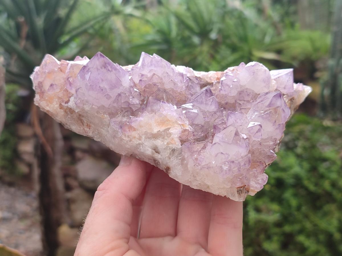 Natural Sunburst Amethyst Spirit Clusters x 2 From Boekenhouthoek, South Africa - Toprock Gemstones and Minerals 
