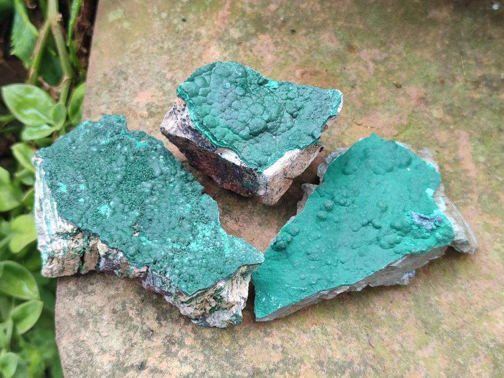 Natural Botryoidal Crystalline Malachite Specimens x 12 From Tenke Fungurume, Congo - Toprock Gemstones and Minerals 