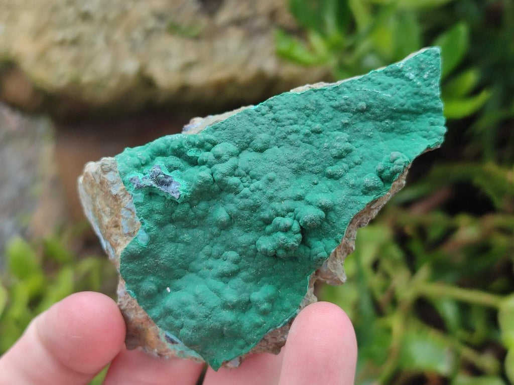 Natural Botryoidal Crystalline Malachite Specimens x 12 From Tenke Fungurume, Congo - Toprock Gemstones and Minerals 