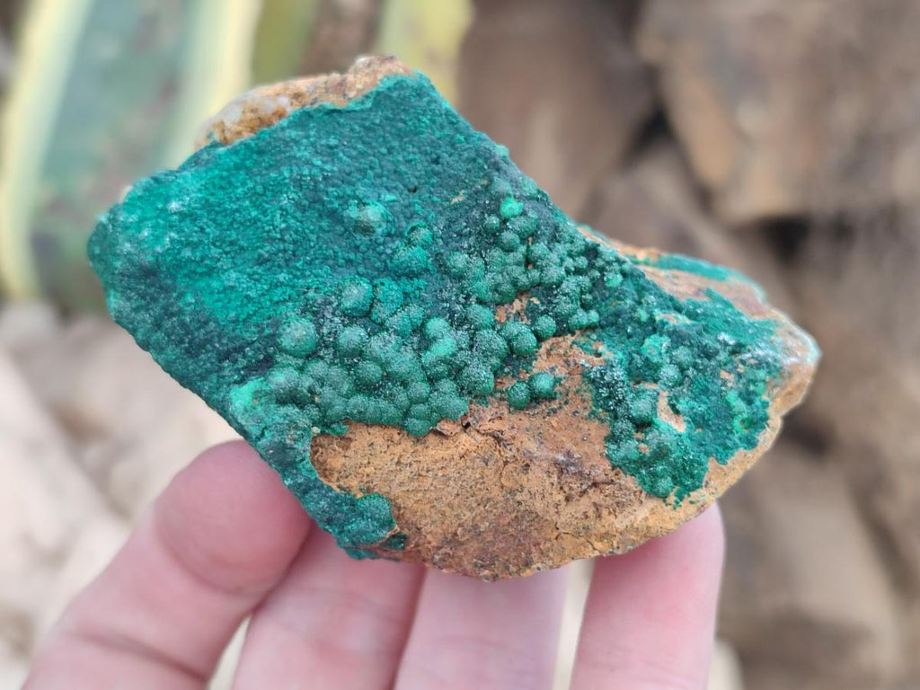 Natural Botryoidal Crystalline Malachite Specimens x 12 From Tenke Fungurume, Congo - Toprock Gemstones and Minerals 