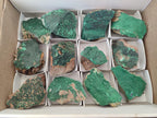 Natural Botryoidal Crystalline Malachite Specimens x 12 From Tenke Fungurume, Congo - Toprock Gemstones and Minerals 