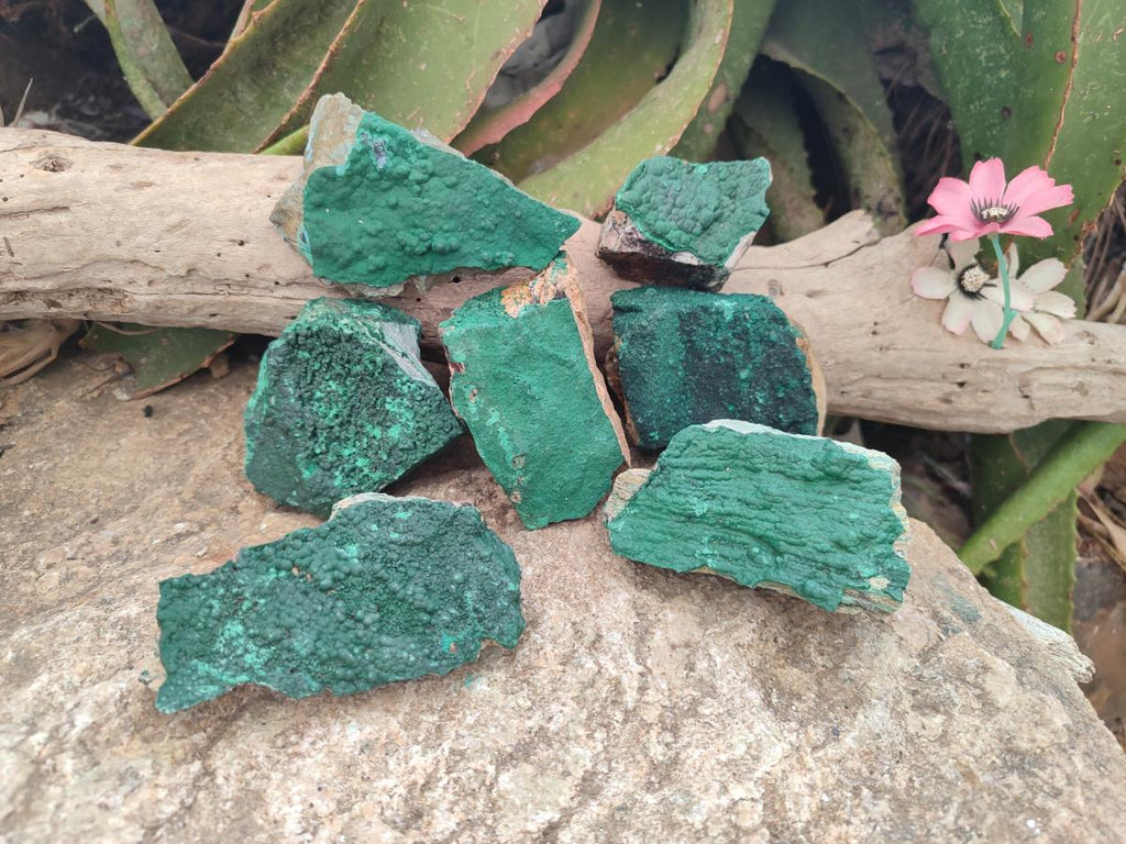 Natural Botryoidal Crystalline Malachite Specimens x 12 From Tenke Fungurume, Congo - Toprock Gemstones and Minerals 