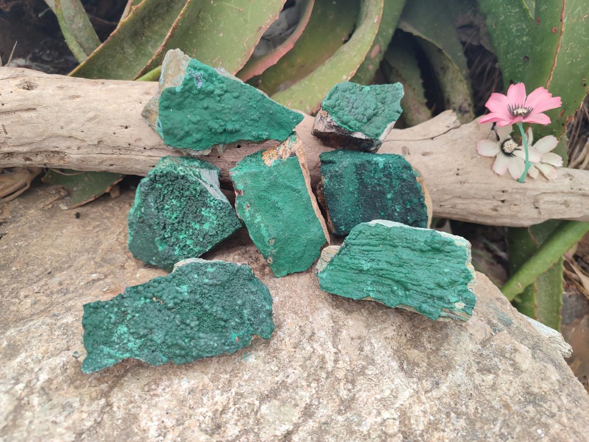 Natural Botryoidal Crystalline Malachite Specimens x 12 From Tenke Fungurume, Congo - Toprock Gemstones and Minerals 