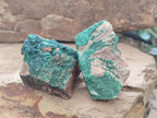 Natural Botryoidal Crystalline Malachite Specimens x 12 From Tenke Fungurume, Congo - Toprock Gemstones and Minerals 