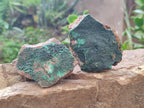 Natural Botryoidal Crystalline Malachite Specimens x 12 From Tenke Fungurume, Congo - Toprock Gemstones and Minerals 